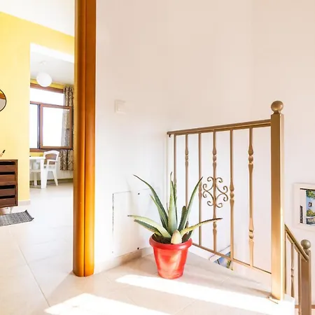 Apartament F & B Summer Collection - Kassandra - Fourka *